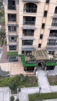 GIF|搞笑GIF：哥们，你这是在用鸽子做导航吗？想象力真丰富