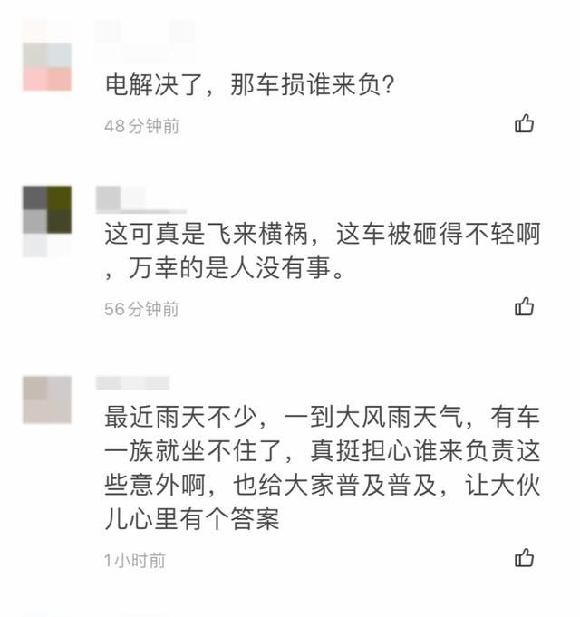  大树|狂风暴雨，大树倾倒砸车，谁来担责？