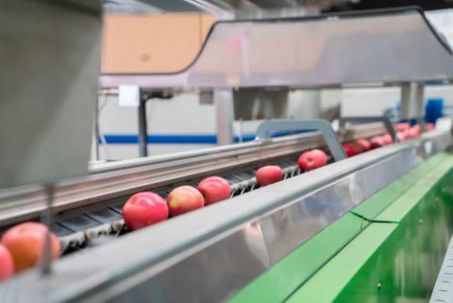 公司|女子上班吃了2颗葡萄,被辞退!