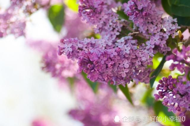  事业|八月开始，事业前程光明，闷头赚钱，运势上等的生肖