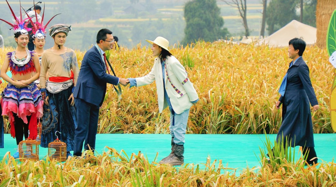 声音|假如丰收有声音，一定是这样婶儿的