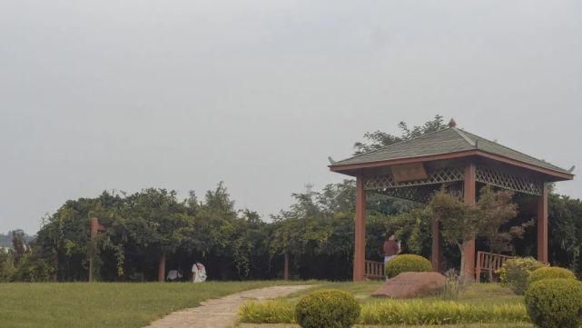 师大人|亲,好久不见