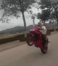 GIF|搞笑GIF：这是个王者