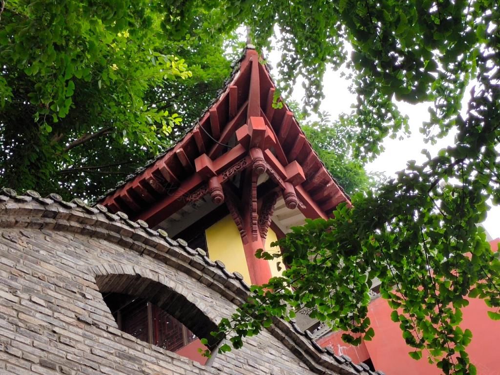  iQOO|以下克上的好家伙 iQOO Neo3的上手体验