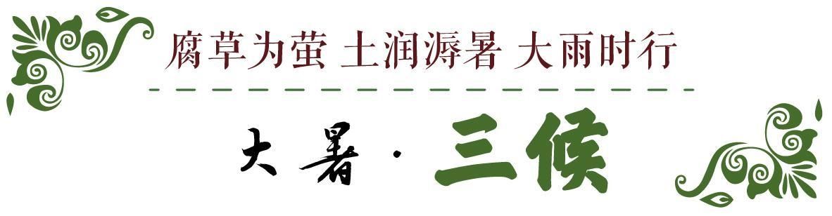  炽热|话说二十四节气 | 大暑：清心静气消暑纳凉 让我们一起经历生命最炽热的温度