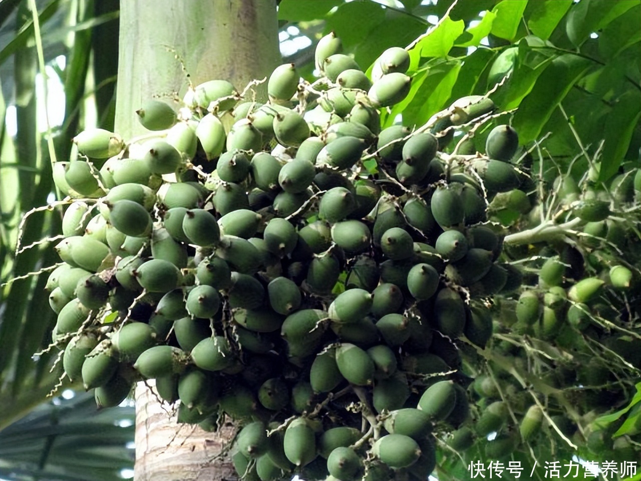 小心这5种癌症可能是吃出来的(我国一年有457万人被确诊为癌症？注意：这3种食物别再吃了)