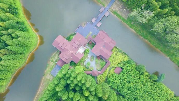  接地|“颜值高”“有内涵”“接地气”……打卡盐城，你想到了什么？