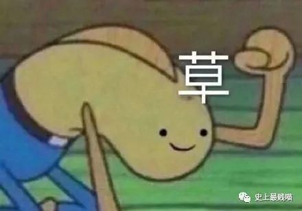  相机|老师，求求你别再用全景相机拍照了…笑趴了哈哈哈哈哈哈哈