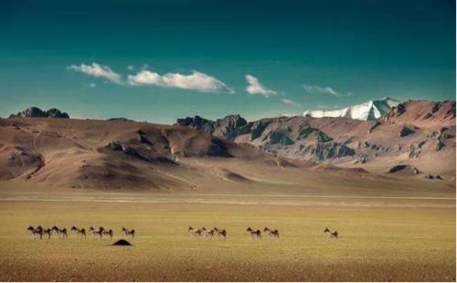 旅行|女大学生旅行无人区遇难引人深思