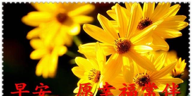 http://p4.img.360kuai.com/t01c3bec6cbd05011d5.png?size=640x646?size=640x646|这些句子对女孩子来说既合理又痛苦