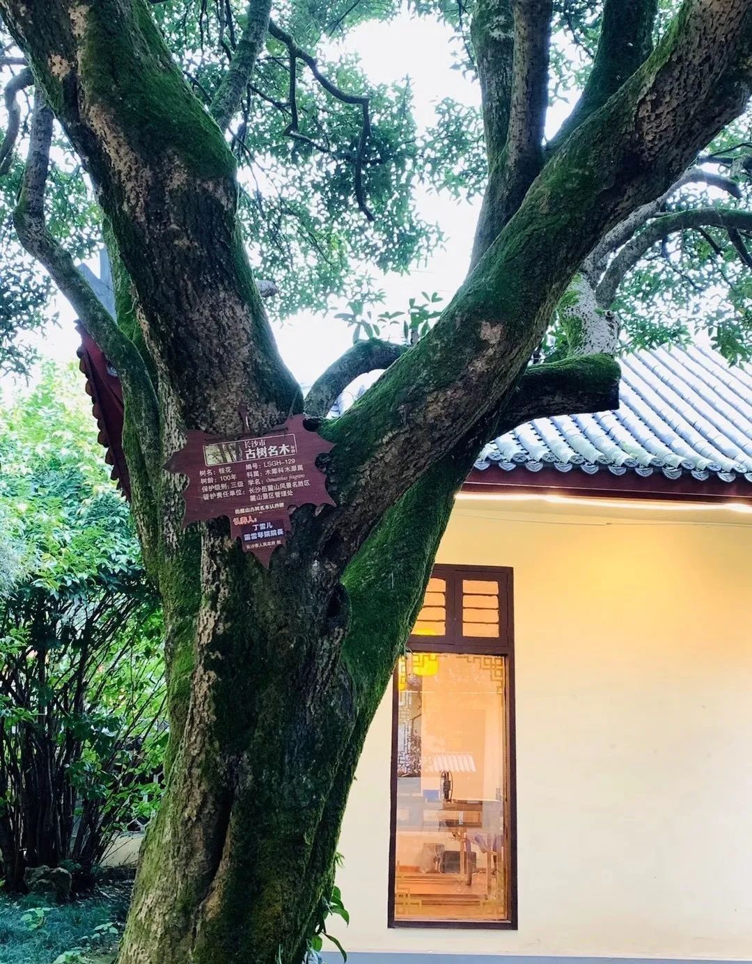 送别|多年后我的身边空无一人，才终于听懂朴树的《送别》