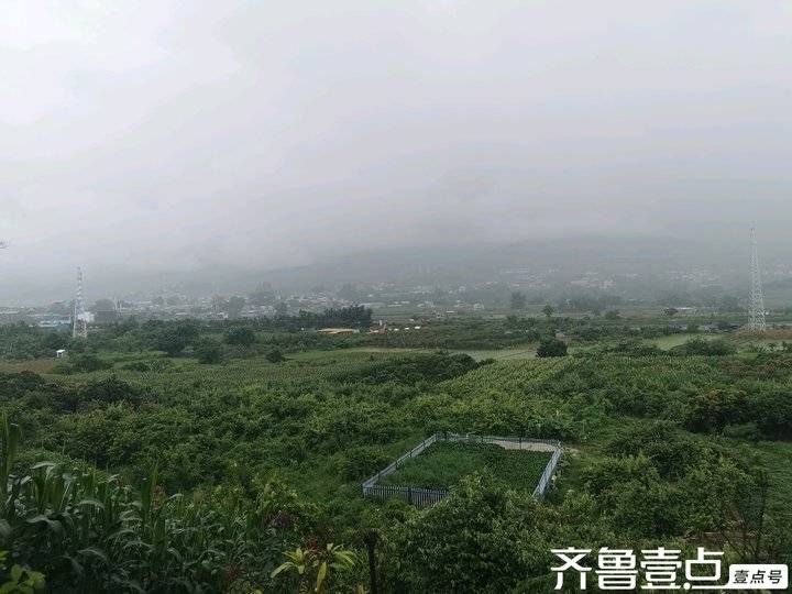 情系果香永德