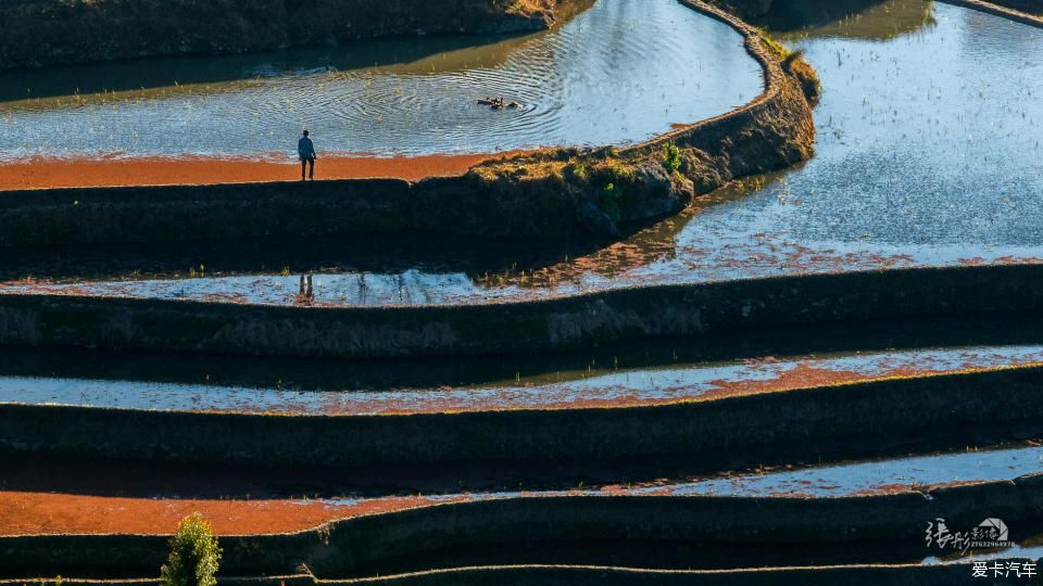  拍摄|美丽云南，大有可观 | 冬季欣赏壮丽的元阳梯田和浪巴铺土林