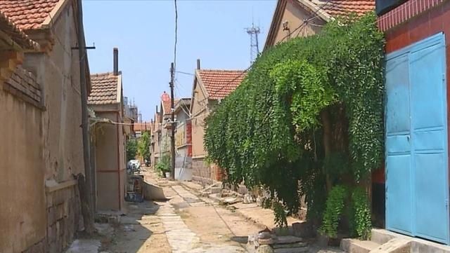  年前|女子被捅40多刀致死，青岛胶州22年前命案告破