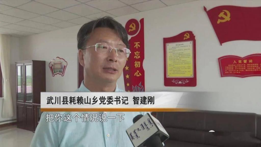  野生|内蒙一地，野生群狐深夜入羊圈，咬死27只羊！