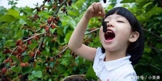 肾脏|桑葚好吃,却不能乱吃,吃桑葚有1大“禁忌”,别怪我没提醒你