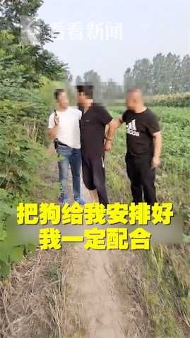 安排|开设赌场被抓 他反复嘱托民警：安排好我的狗