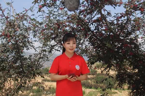  国家一级|国家一级演员王二妮：因买不起房，回到农村种田生活，现在放羊带娃是日常