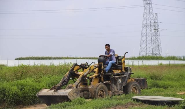  山镇|藏在宝山镇的美丽花园，不仅大丽花花开迷人眼，更有牡丹玉笑珠香