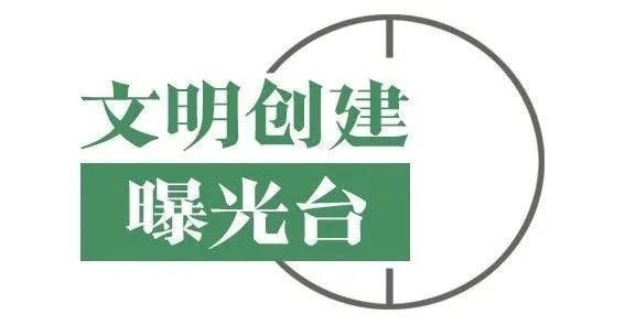 车辆|六安这些车辆被曝光啦