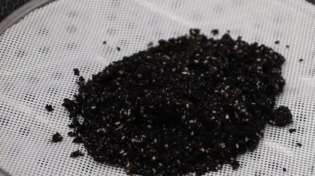  试试|黑芝麻健脑补脑、营养滋补，来试试黑芝麻的营养做法吧