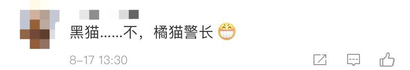  奶猫|流浪奶猫暴雨中被警察蜀黍救下，还在警队找到了工作……