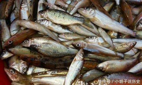 买不到|农村赶集不能错过的美味,再贵也要买,城里人想吃买不到