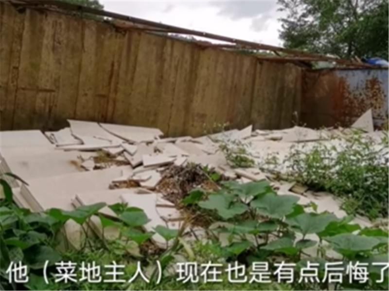  农民|大货车冲进庄稼地，老农民索赔100万，司机：你的地里种的金子？