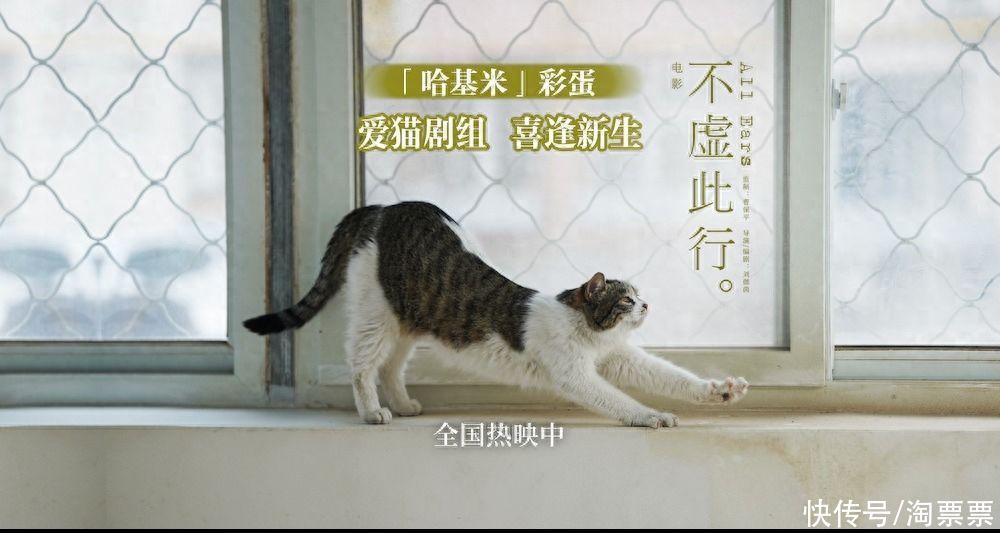 《不虚此行》曝片尾彩蛋及新海报 成都路演疗愈观众遗憾