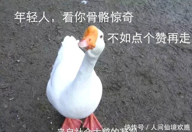 央视|从180斤暴瘦到脱相,被韩红视为恩人,央视主持人张越哪去了?