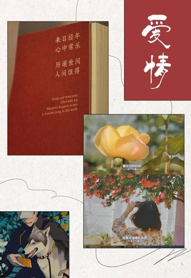 顾佳|《三十而已》：后来我买的香奈儿，没再发过朋友圈炫耀。