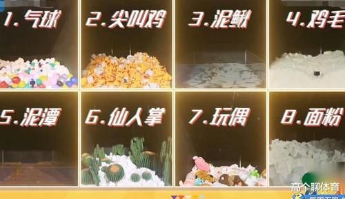  恐怖箱内|恐怖箱揭晓那一刻，就知道杨颖不会掉下去，沙溢一句话说出了关键