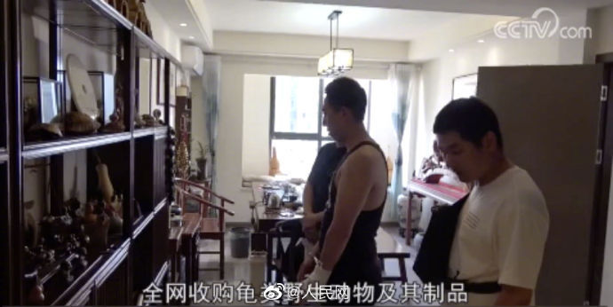 野生动物|福建破获价值超千万贩卖野生动物案