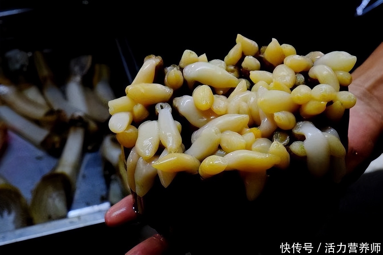 辟谣盘点近期10大谣言千万别中招(已辟谣：这4个传了多年的谣言，都不能再信了，一起来看看真相)