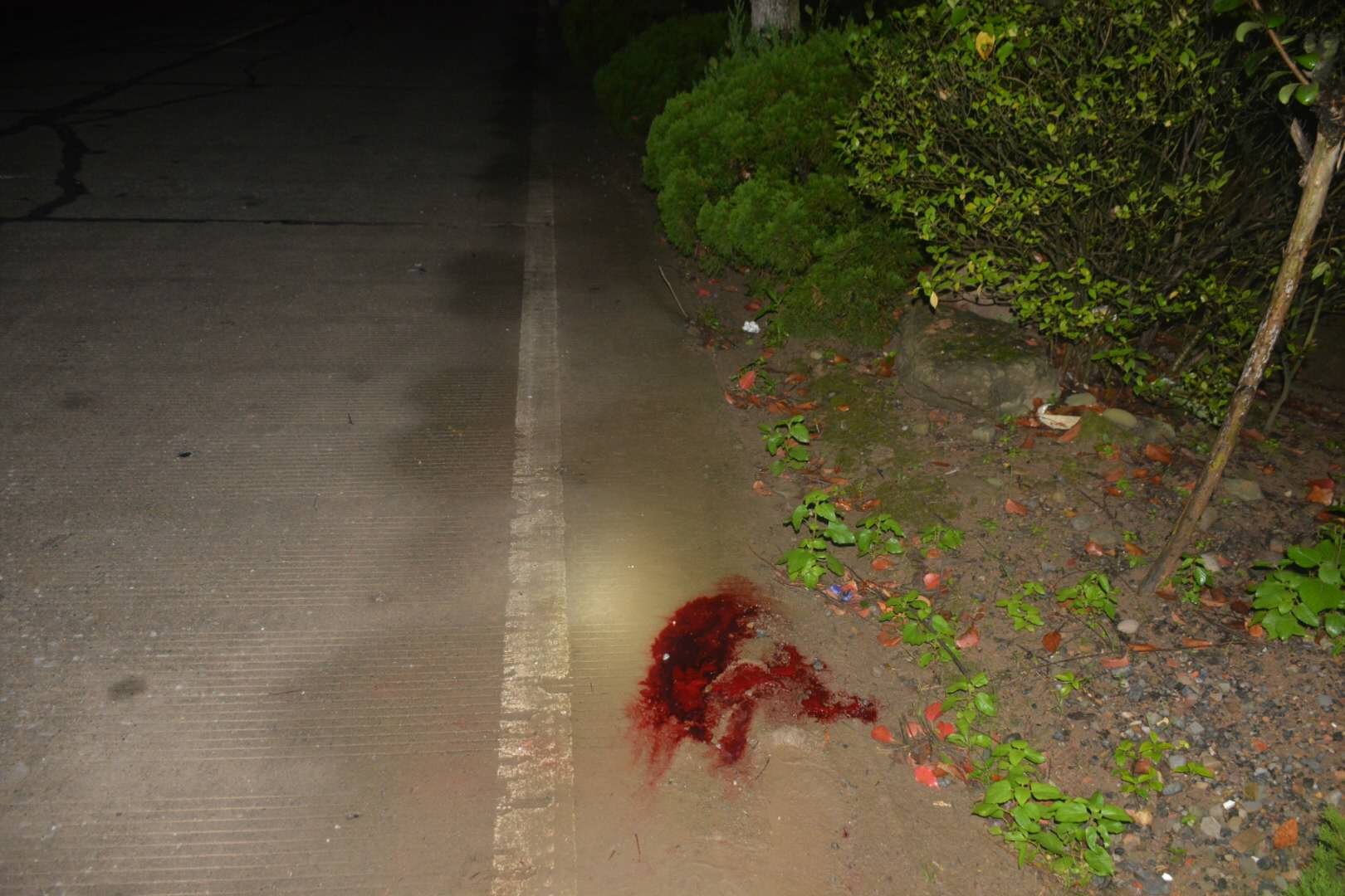  常山|常山：48小时破获肇事逃逸案