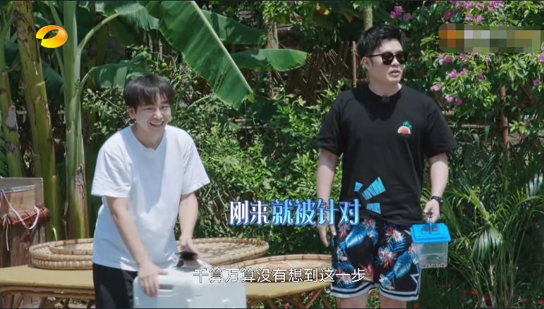  客人|《向往4》终于等来了呼声最高的客人，下期预告亮点多多，终于不留遗憾了