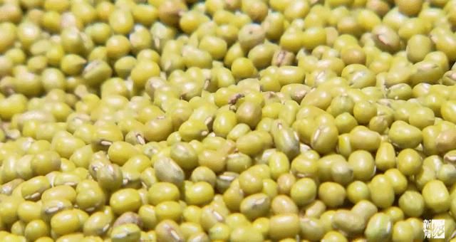 散装|沪上知名超市散装杂粮爬满小虫！店家说都不要紧！坊记来了，没想到…