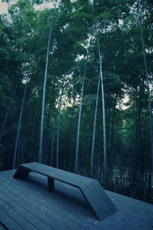  辰山植物园|好看！这才是松江夏天的正确打开方式