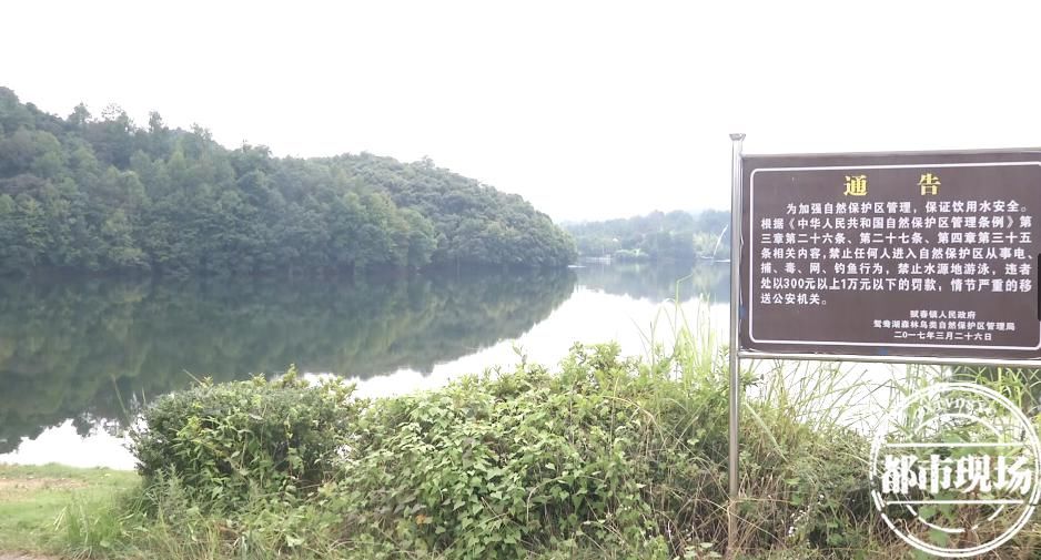  不幸溺亡|悲剧又发生了！最小仅10岁！家长一定要警醒！