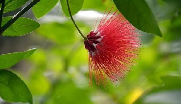 越早|人生在世,这两件事越早做越好,不然后悔莫及!