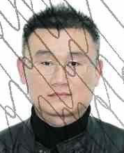 公告|龙口法院第一例执行悬赏公告来了！