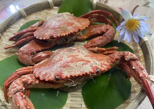 备材料|蒸出来的美食料理最营养，5款蒸菜食谱，简单又美味，家人都爱吃