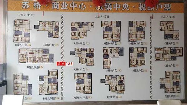 苏桥|文安苏桥蓝水湾小区延期交房、一房多卖，众业主维权