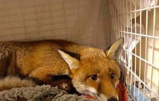  一看|厨房中突然传来巨响，主人冲去一看，顿时不淡定了