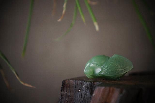 福泽|玉雕蝉的禁忌,你都了解吗?戴对才能腰“蝉”万贯、福泽一生!