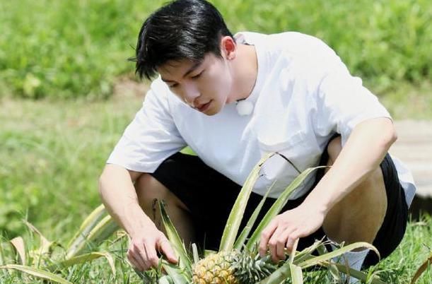  终于|《向往的生活》最后一期，节目组终于请对了嘉宾！黄磊表情太真实