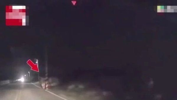  查看|男子半夜驾车经过公墓，路边有白影闪过，回家查看记录仪吓出冷汗