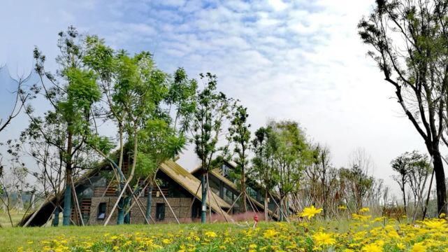  综艺|哦豁！成都人的情感生活，被杨超越和戚薇“盯”上了！