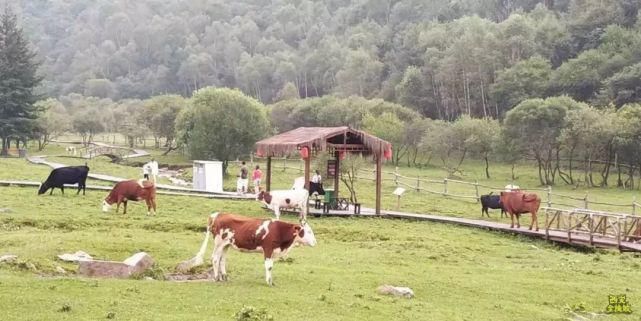 回来|宝鸡！我回来了！