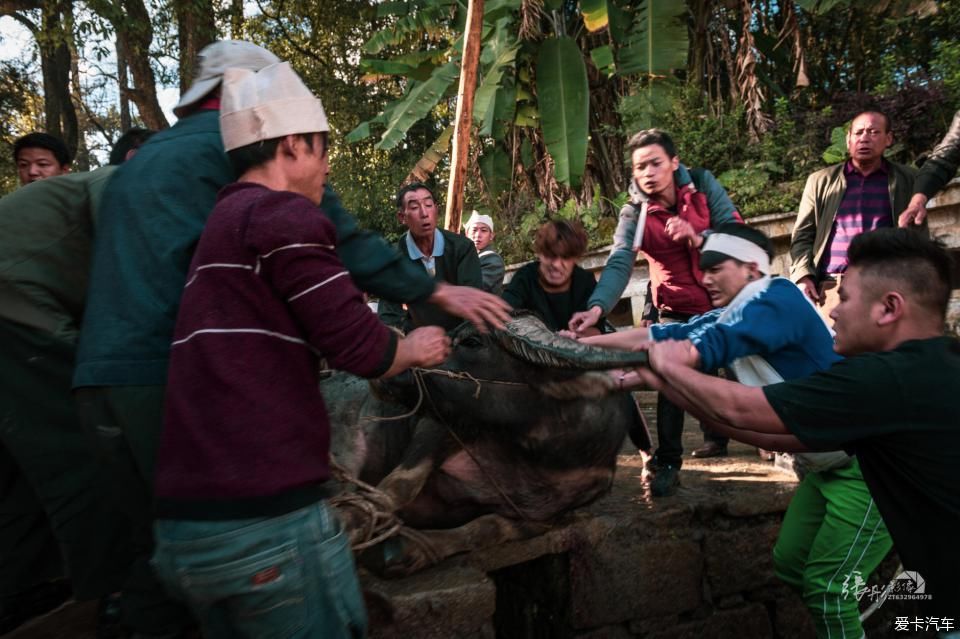  拍摄|美丽云南，大有可观 | 冬季欣赏壮丽的元阳梯田和浪巴铺土林